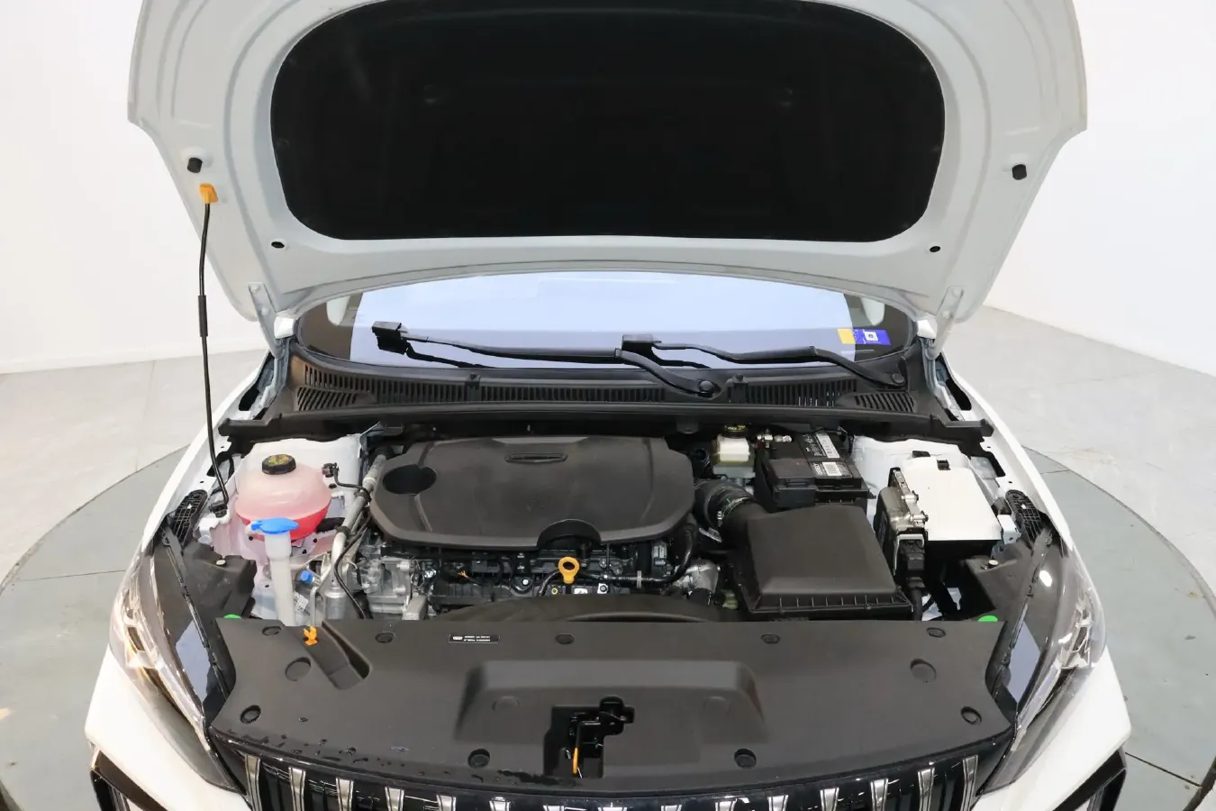 2024 Geely Binray 1.5T 181HP L4 7DCT,autocango,china used car exporter,china ev exporter,chinese used car exporter,chinese used ev exporter