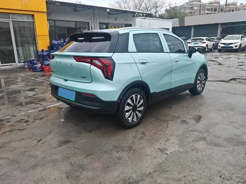 2024 Geometry E BEV 29.67KWH,autocango,china used car exporter,china ev exporter,chinese used car exporter,chinese used ev exporter