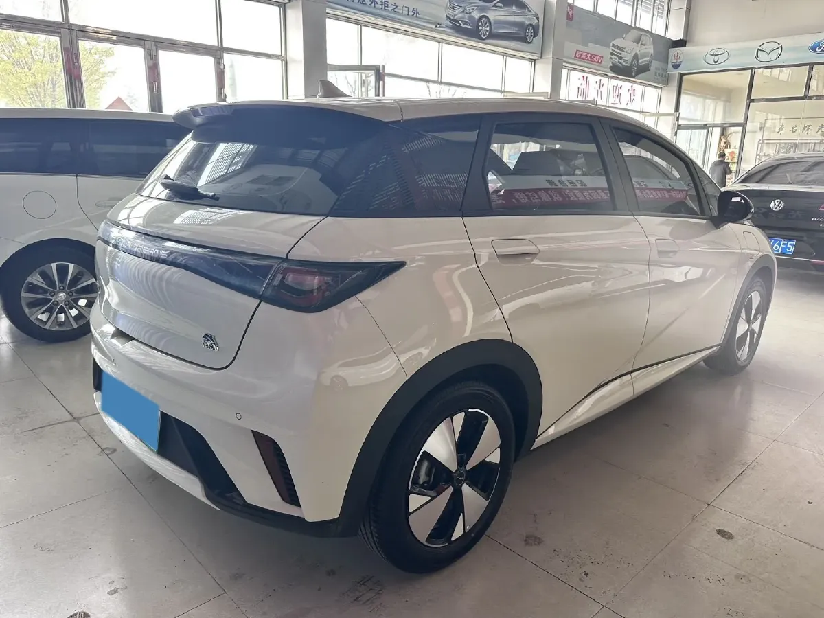 2023 BYD Dolphin BEV 44.928KWH,autocango,china used car exporter,china ev exporter,chinese used car exporter,chinese used ev exporter