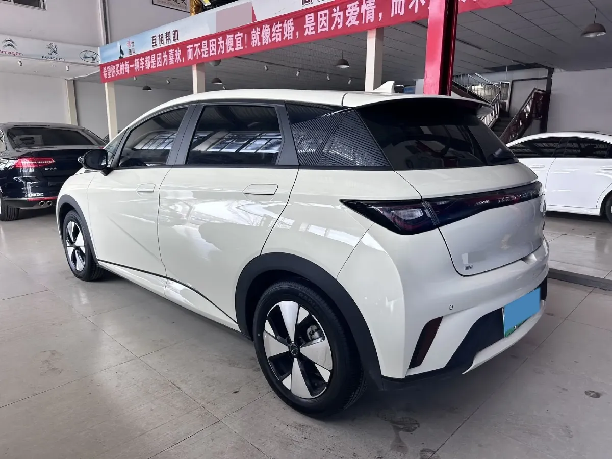 2023 BYD Dolphin BEV 44.928KWH,autocango,china used car exporter,china ev exporter,chinese used car exporter,chinese used ev exporter