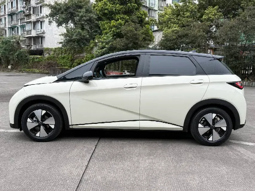 2023 BYD Dolphin BEV 44.928KWH,autocango,china used car exporter,china ev exporter,chinese used car exporter,chinese used ev exporter