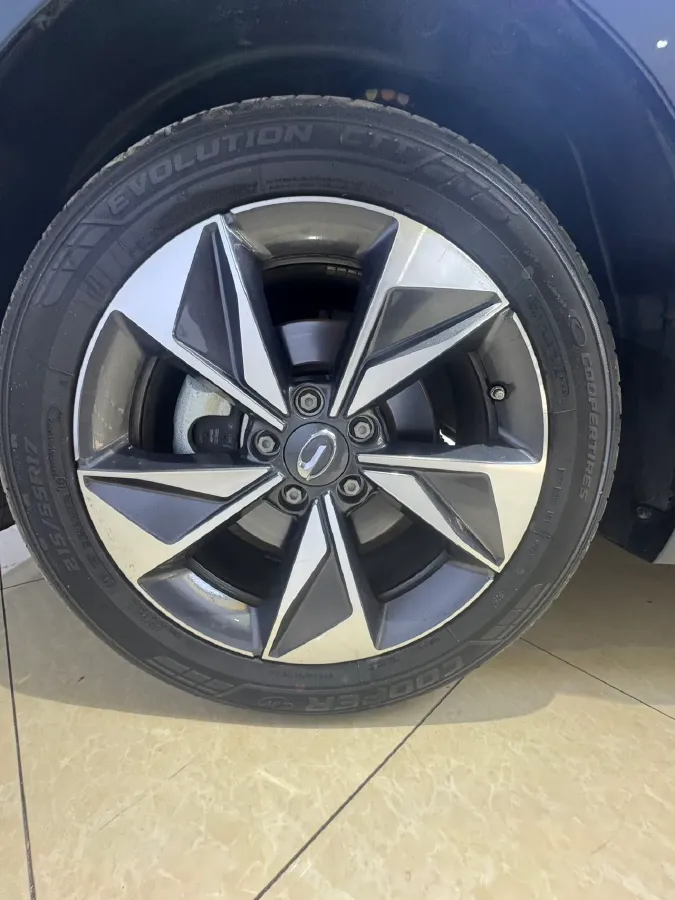 2021 GAC Trumpchi M6 1.5T 169HP L4 6AT,autocango,china used car exporter,china ev exporter,chinese used car exporter,chinese used ev exporter