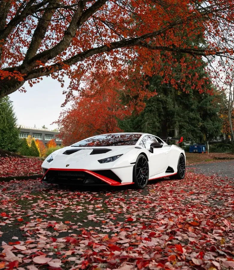 2021 Lamborghini Huracán 5.2L 640HP V10 7DCT,autocango,china used car exporter,china ev exporter,chinese used car exporter,chinese used ev exporter