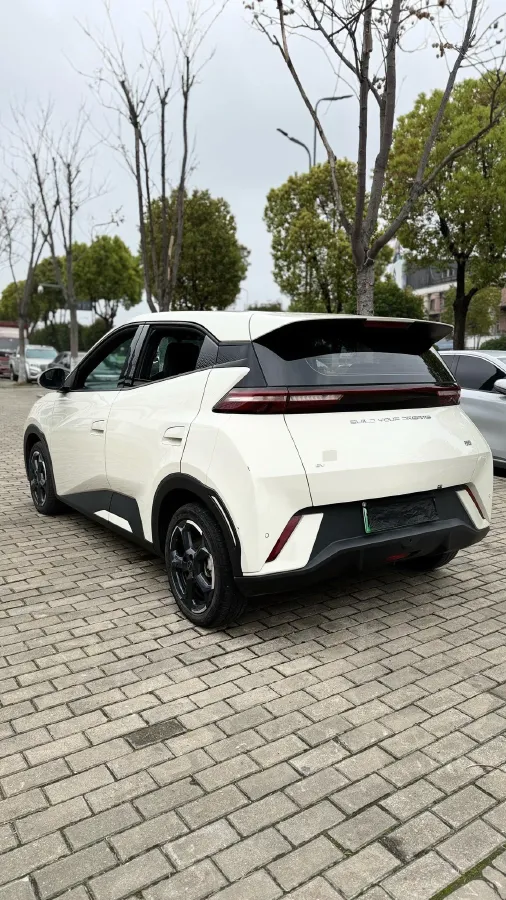 2024 BYD Seagull BEV 38.88KWH,autocango,china used car exporter,china ev exporter,chinese used car exporter,chinese used ev exporter