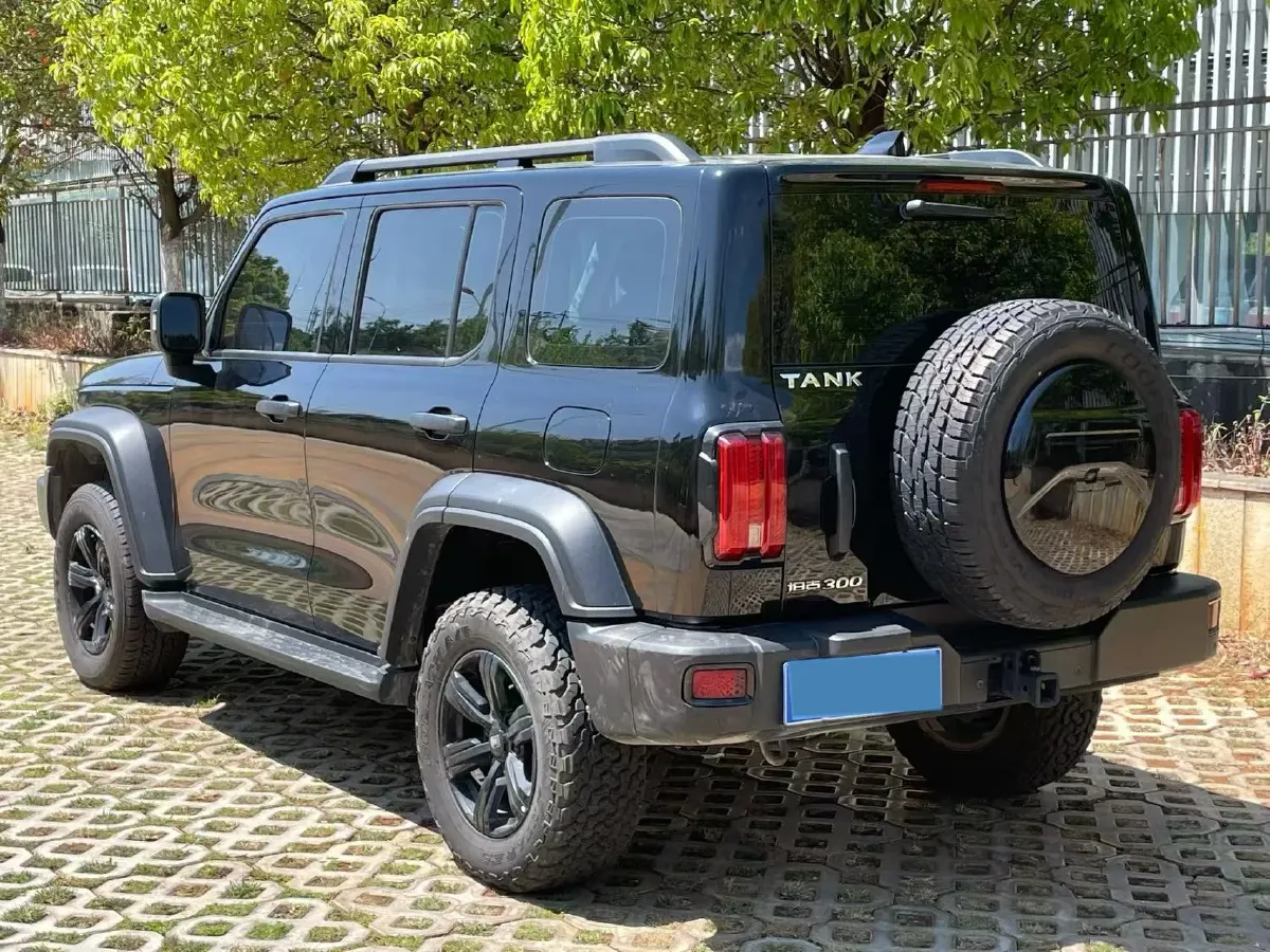 2021 Tank 300 2.0T 227HP L4 8AT,autocango,china used car exporter,china ev exporter,chinese used car exporter,chinese used ev exporter