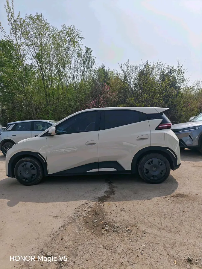 2023 BYD Seagull BEV 30.08KWH,autocango,china used car exporter,china ev exporter,chinese used car exporter,chinese used ev exporter