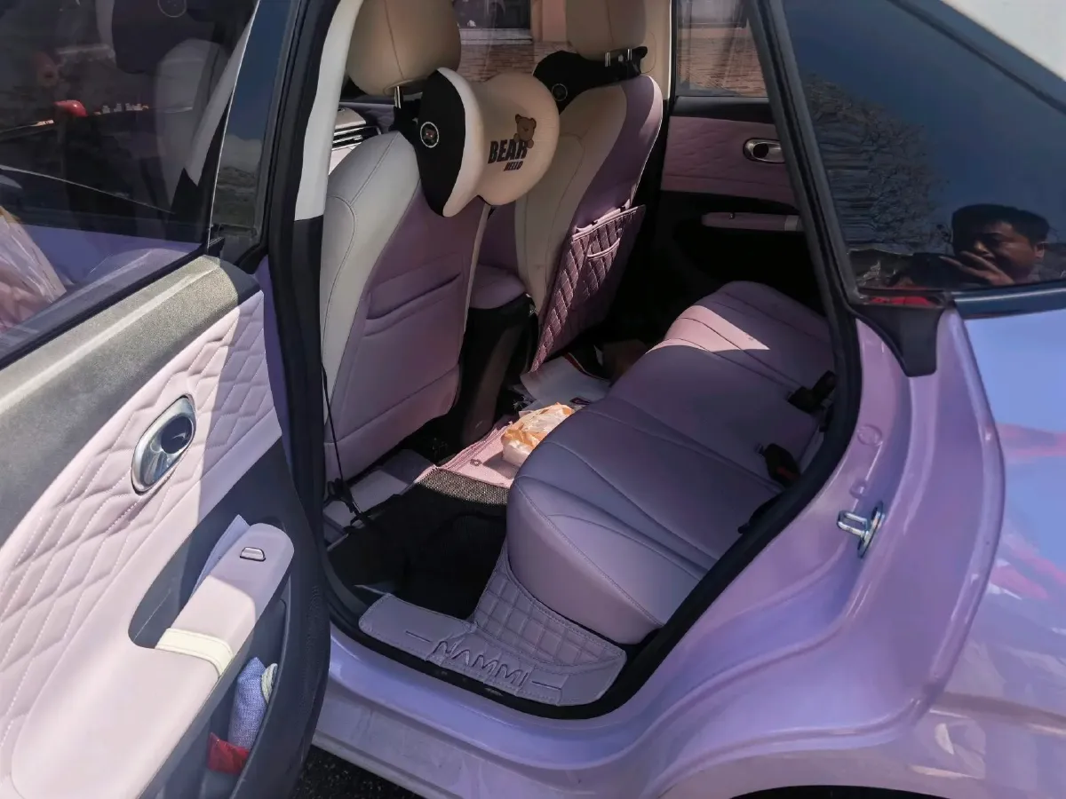 2024 DongFeng eπ 01 BEV 31.45KWH,autocango,china used car exporter,china ev exporter,chinese used car exporter,chinese used ev exporter