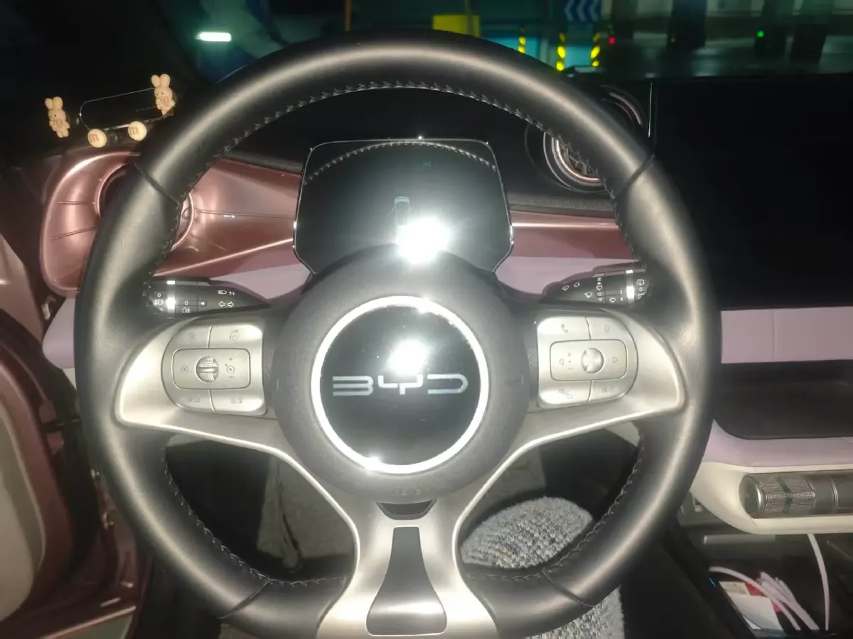 2023 BYD Dolphin BEV 44.928KWH,autocango,china used car exporter,china ev exporter,chinese used car exporter,chinese used ev exporter