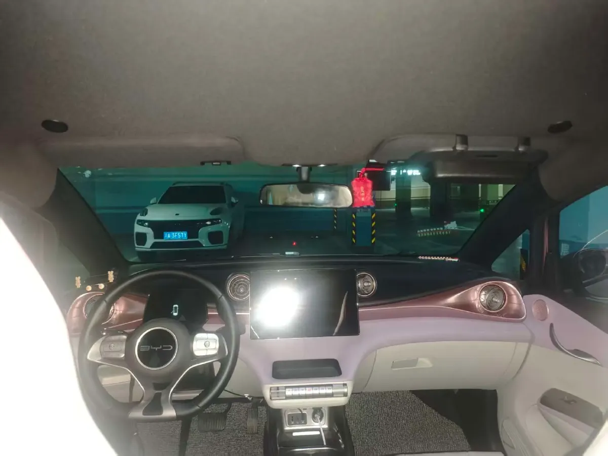 2023 BYD Dolphin BEV 44.928KWH,autocango,china used car exporter,china ev exporter,chinese used car exporter,chinese used ev exporter