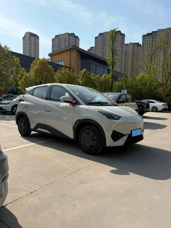 2025 BYD Seagull BEV 30.08KWH,autocango,china used car exporter,china ev exporter,chinese used car exporter,chinese used ev exporter