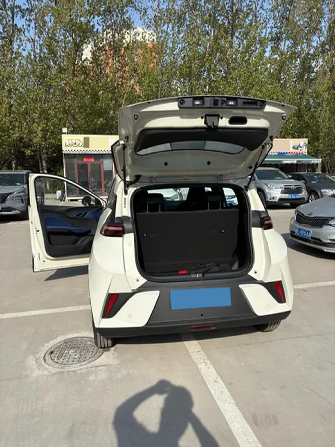 2025 BYD Seagull BEV 30.08KWH,autocango,china used car exporter,china ev exporter,chinese used car exporter,chinese used ev exporter