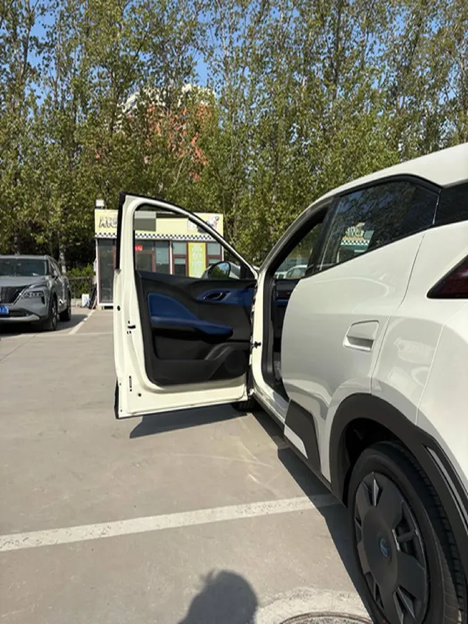 2025 BYD Seagull BEV 30.08KWH,autocango,china used car exporter,china ev exporter,chinese used car exporter,chinese used ev exporter