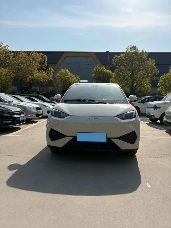 2025 BYD Seagull BEV 30.08KWH,autocango,china used car exporter,china ev exporter,chinese used car exporter,chinese used ev exporter