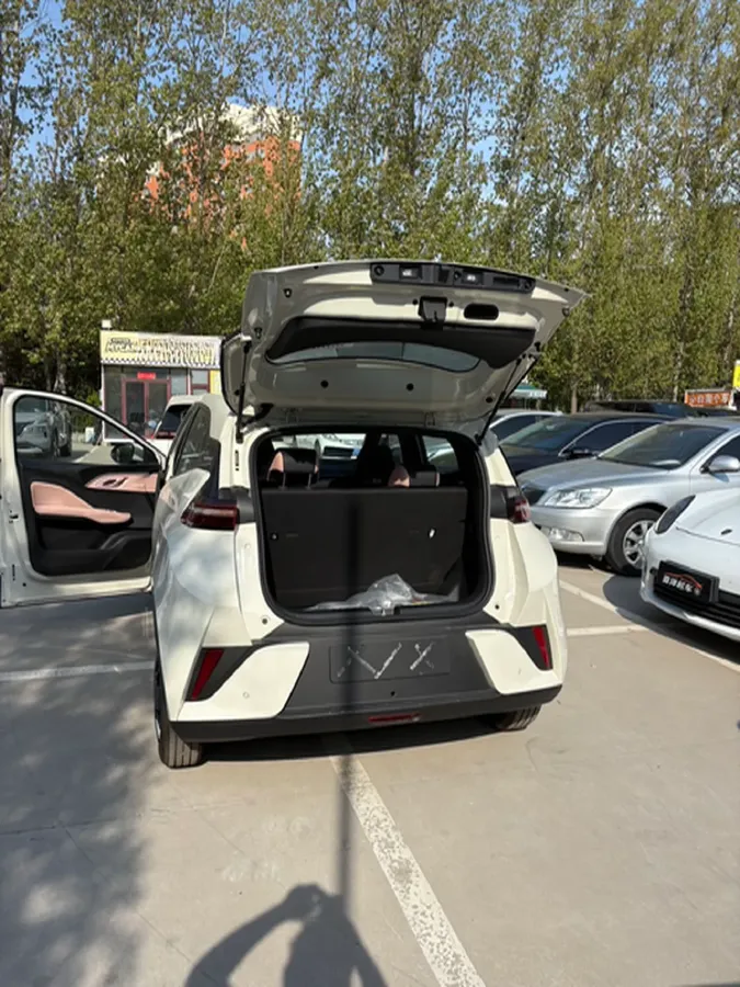 2025 BYD Seagull BEV 30.08KWH,autocango,china used car exporter,china ev exporter,chinese used car exporter,chinese used ev exporter