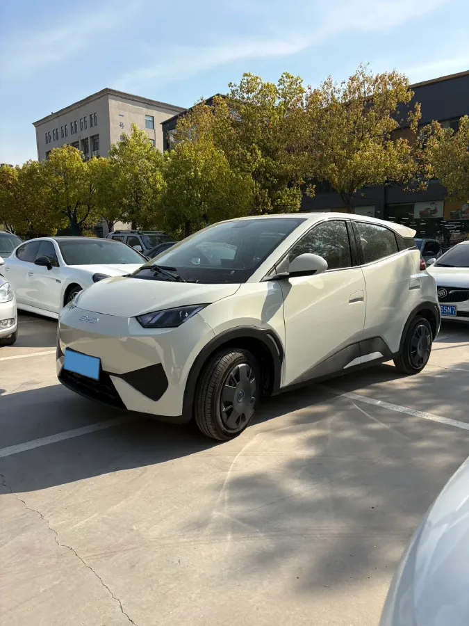 2025 BYD Seagull BEV 30.08KWH,autocango,china used car exporter,china ev exporter,chinese used car exporter,chinese used ev exporter