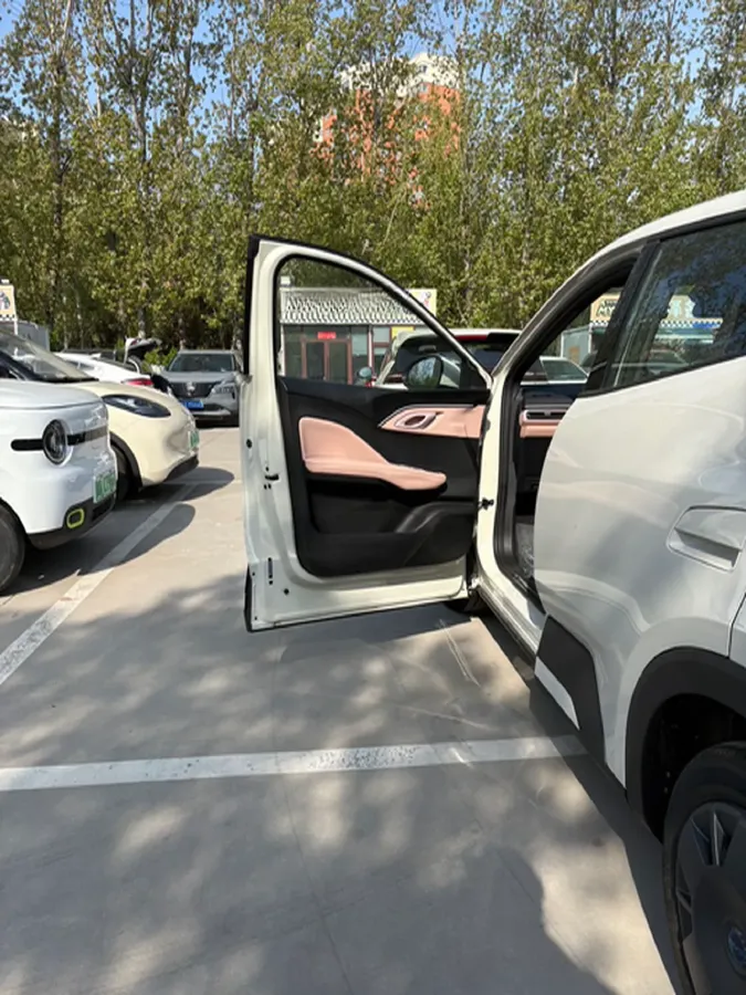 2025 BYD Seagull BEV 30.08KWH,autocango,china used car exporter,china ev exporter,chinese used car exporter,chinese used ev exporter