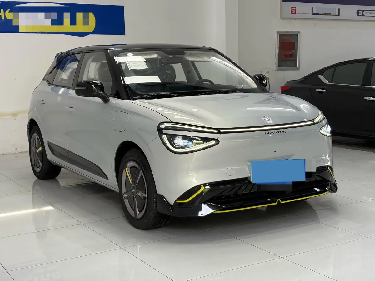 2024 DongFeng eπ 01 BEV 42.3KWH,autocango,china used car exporter,china ev exporter,chinese used car exporter,chinese used ev exporter