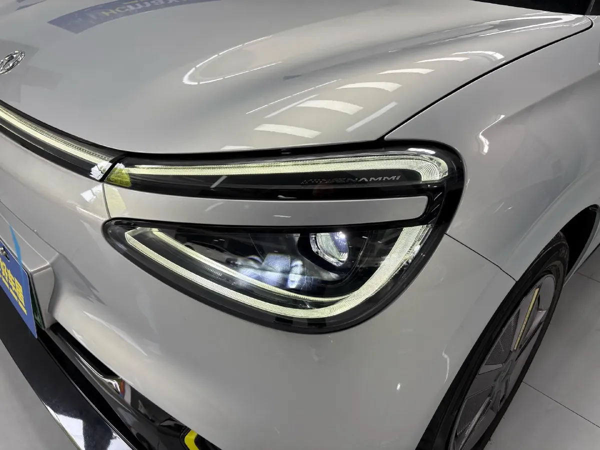 2024 DongFeng eπ 01 BEV 42.3KWH,autocango,china used car exporter,china ev exporter,chinese used car exporter,chinese used ev exporter