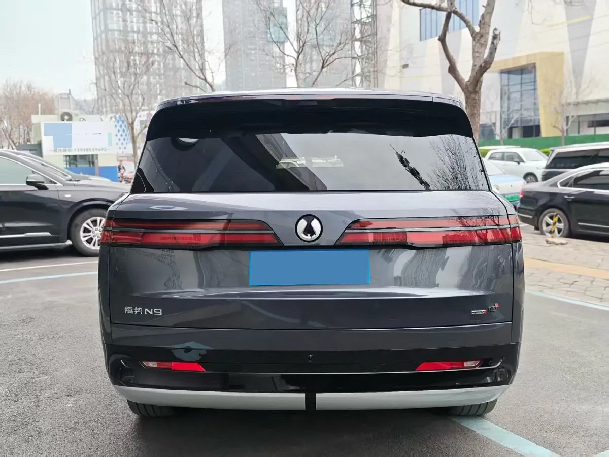 2025 Denza DenzaN9 2.0T 207HP L4 E-CVT PHEV,autocango,china used car exporter,china ev exporter,chinese used car exporter,chinese used ev exporter