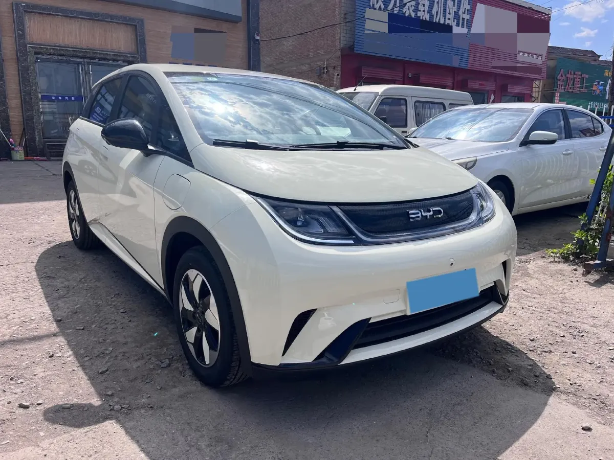2025 BYD Dolphin BEV 44.928KWH,autocango,china used car exporter,china ev exporter,chinese used car exporter,chinese used ev exporter