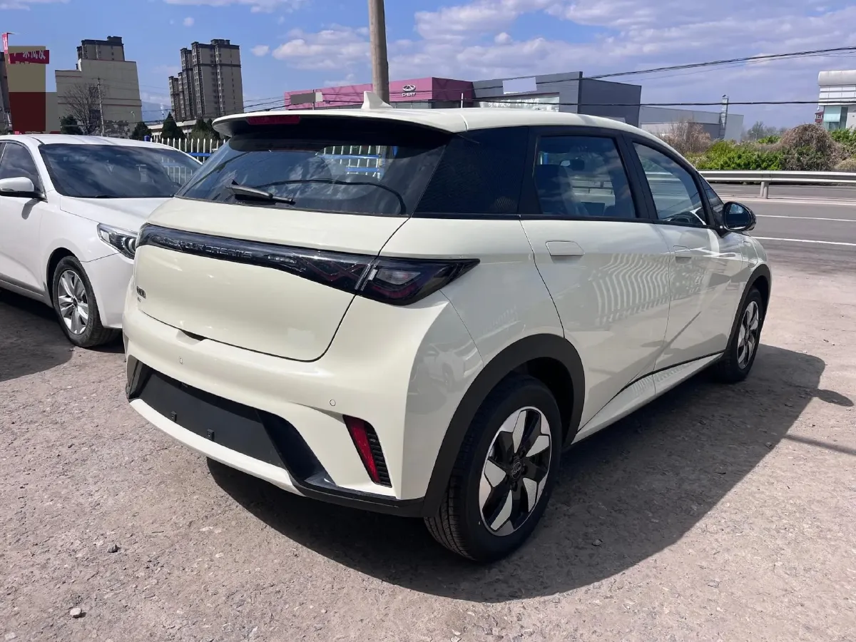 2025 BYD Dolphin BEV 44.928KWH,autocango,china used car exporter,china ev exporter,chinese used car exporter,chinese used ev exporter