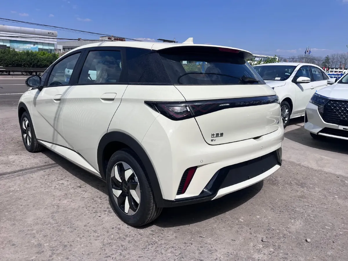 2025 BYD Dolphin BEV 44.928KWH,autocango,china used car exporter,china ev exporter,chinese used car exporter,chinese used ev exporter