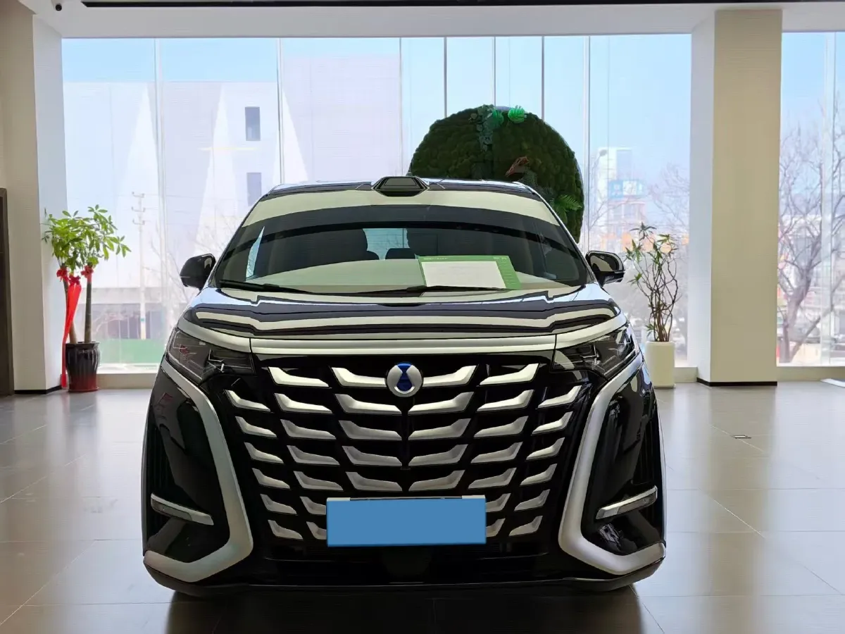 2025 Denza D9 1.5T 156HP L4 E-CVT PHEV,autocango,china used car exporter,china ev exporter,chinese used car exporter,chinese used ev exporter