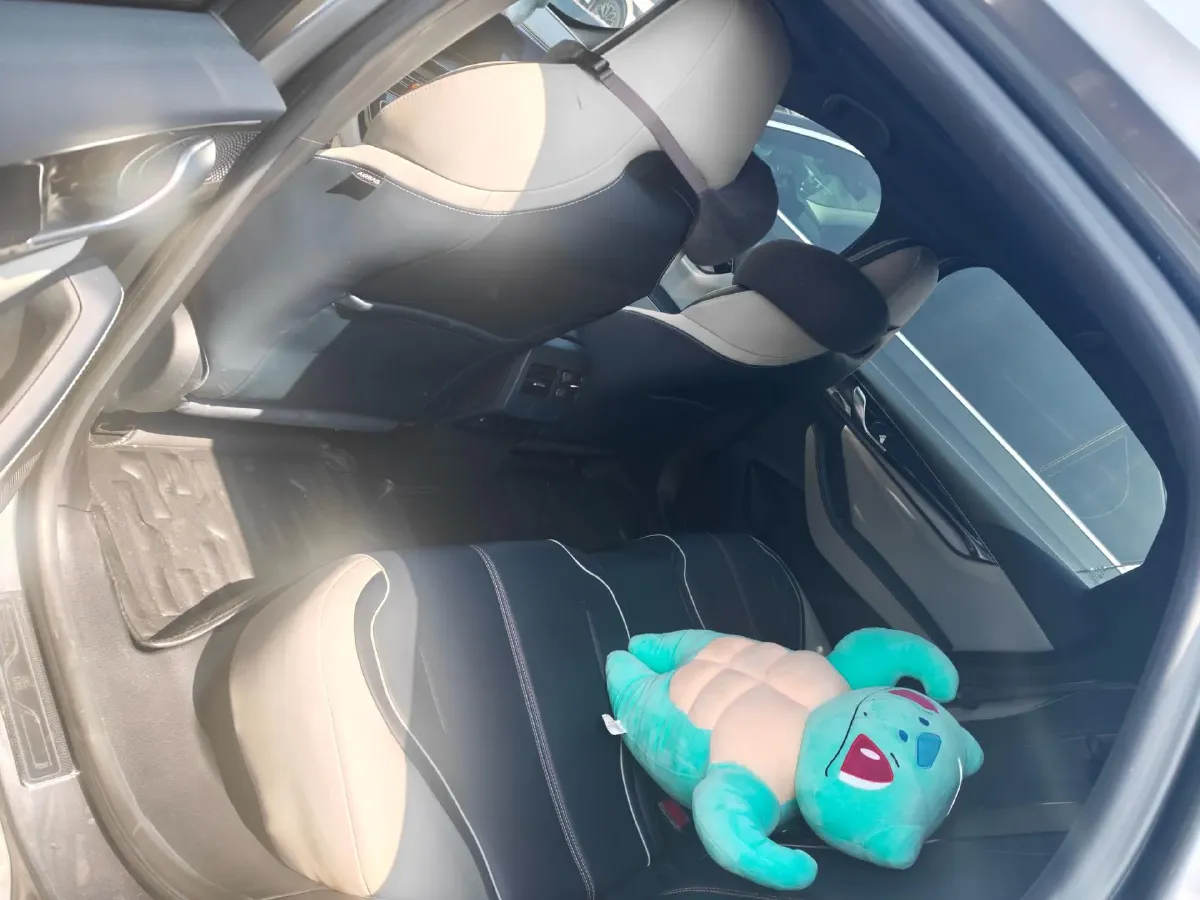 2021 DongFeng FuKang e Elysee BEV 38.4KWH,autocango,china used car exporter,china ev exporter,chinese used car exporter,chinese used ev exporter