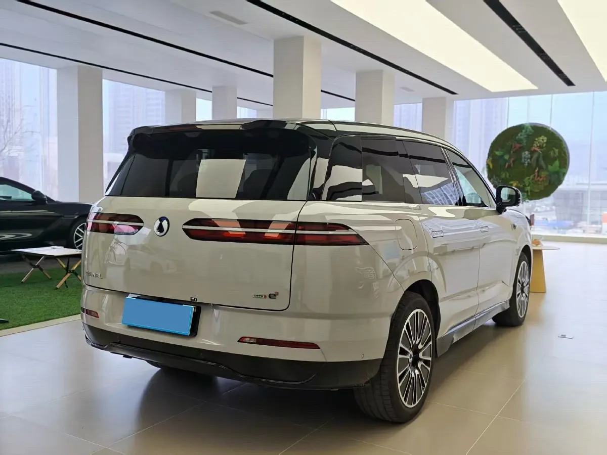 2025 Denza DenzaN8L 2.0T 207HP L4 E-CVT PHEV,autocango,china used car exporter,china ev exporter,chinese used car exporter,chinese used ev exporter
