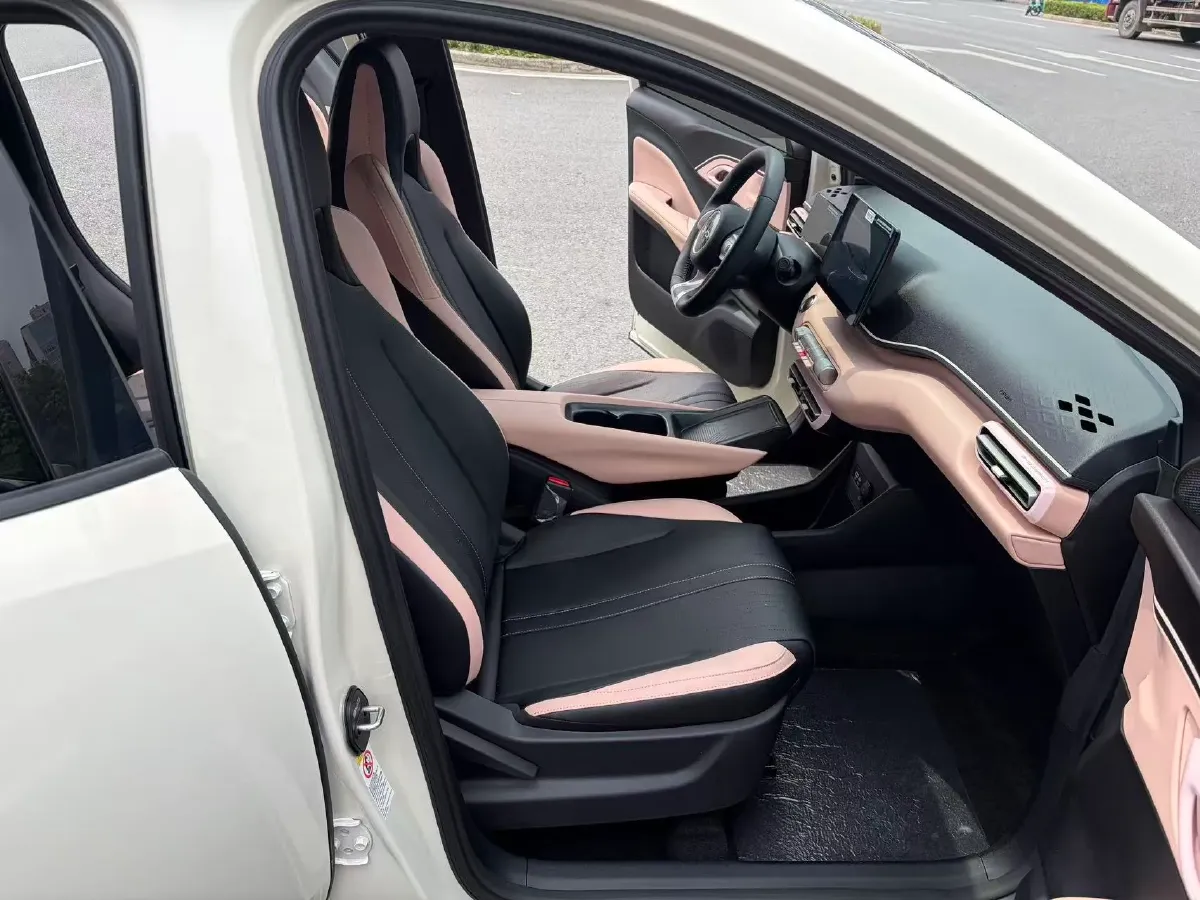 2024 BYD Seagull BEV 38.88KWH,autocango,china used car exporter,china ev exporter,chinese used car exporter,chinese used ev exporter