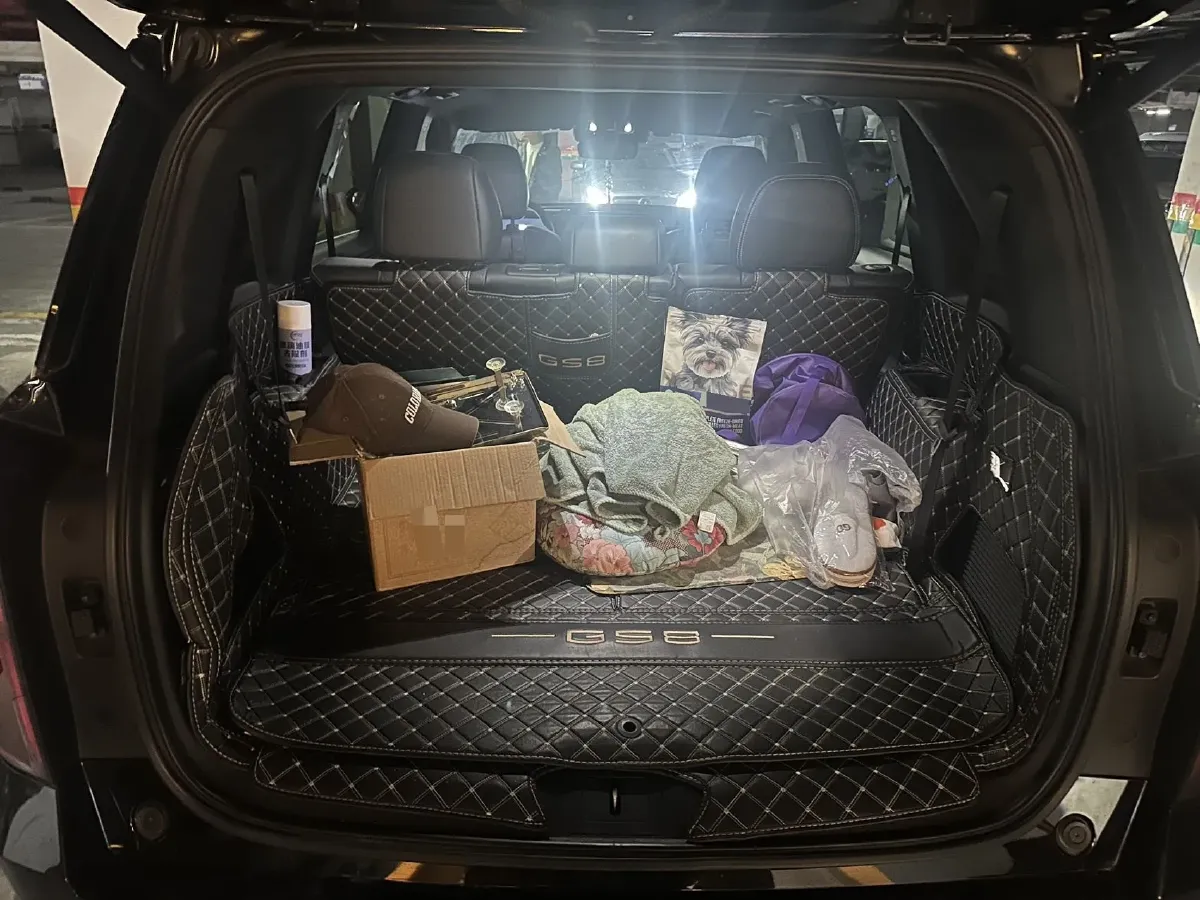 2022 GAC Trumpchi GS8 2.0T 252HP L4 8AT,autocango,china used car exporter,china ev exporter,chinese used car exporter,chinese used ev exporter