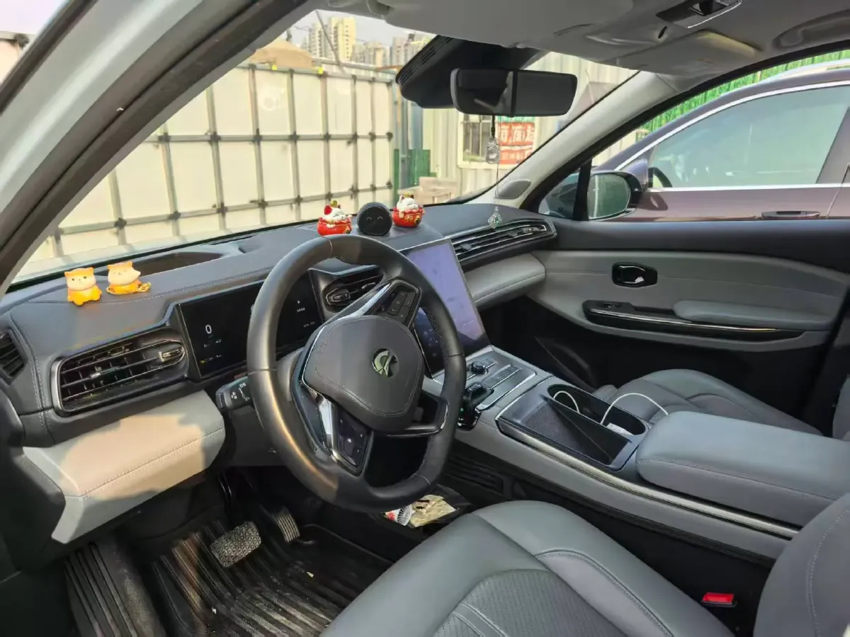 2020 Lexus NX 2.5L 155HP L4 E-CVT Hybrid,autocango,china used car exporter,china ev exporter,chinese used car exporter,chinese used ev exporter