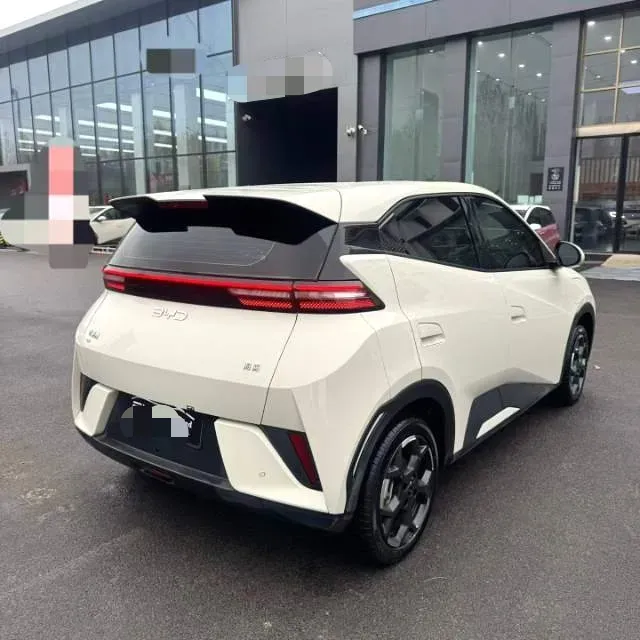 2025 BYD Seagull BEV 30.08KWH,autocango,china used car exporter,china ev exporter,chinese used car exporter,chinese used ev exporter