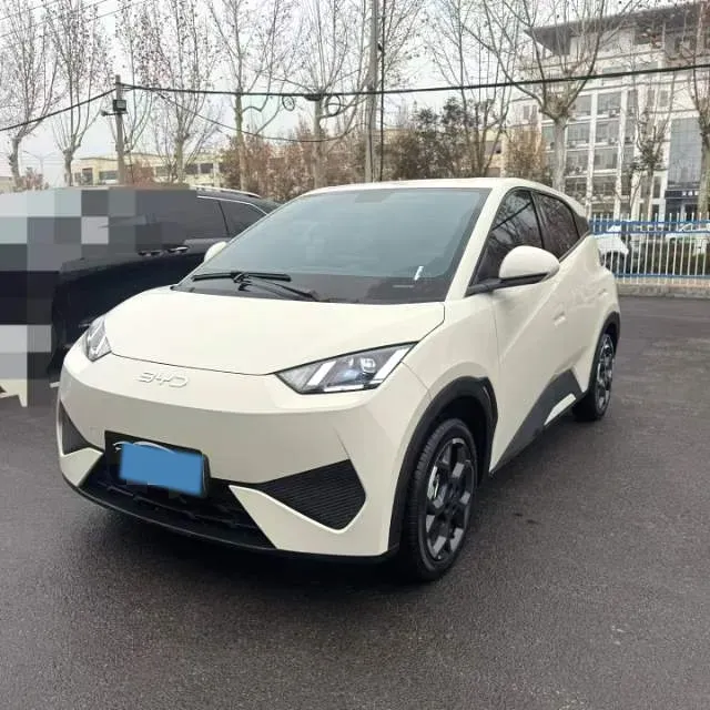 2025 BYD Seagull BEV 30.08KWH,autocango,china used car exporter,china ev exporter,chinese used car exporter,chinese used ev exporter