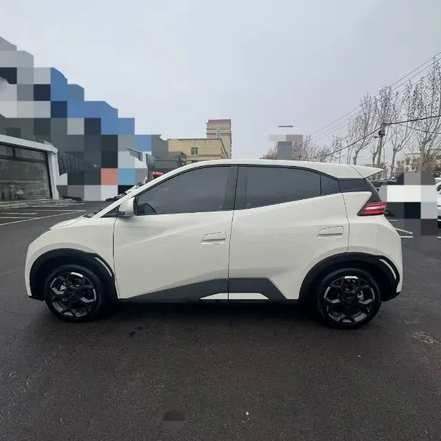 2025 BYD Seagull BEV 30.08KWH,autocango,china used car exporter,china ev exporter,chinese used car exporter,chinese used ev exporter