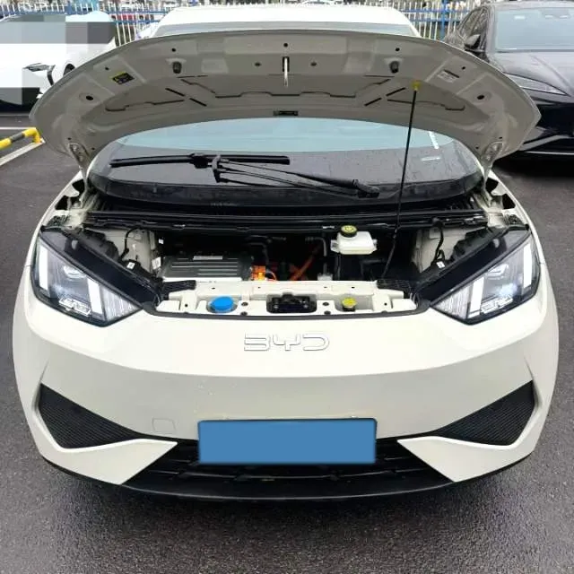 2025 BYD Seagull BEV 30.08KWH,autocango,china used car exporter,china ev exporter,chinese used car exporter,chinese used ev exporter