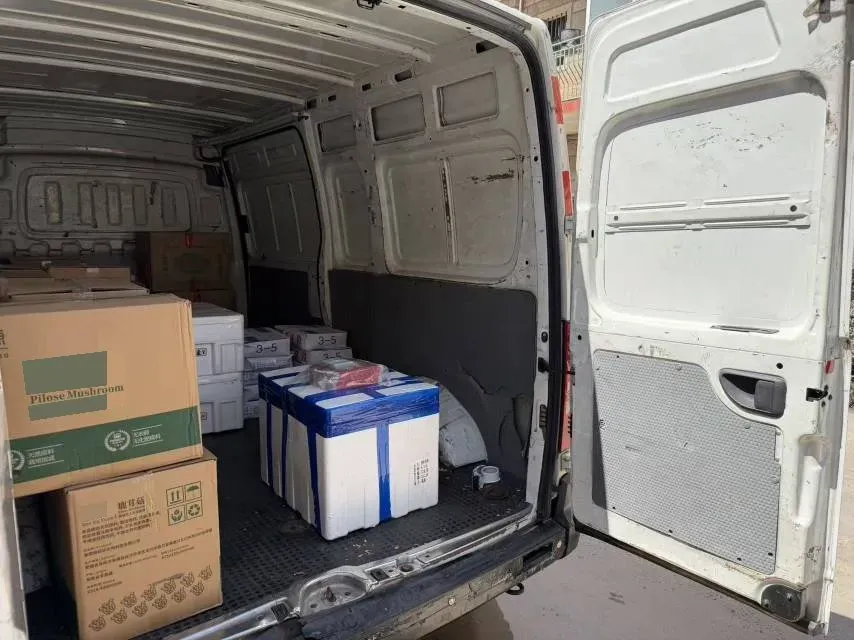 2020 MAXUS XinTu V80 2.5T 136HP L4 6MT,autocango,china used car exporter,china ev exporter,chinese used car exporter,chinese used ev exporter