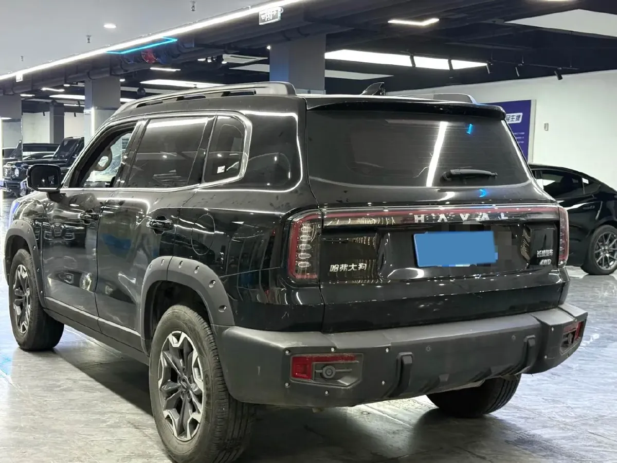 2024 Haval Dargo 2.0T 238HP L4 9DCT,autocango,china used car exporter,china ev exporter,chinese used car exporter,chinese used ev exporter