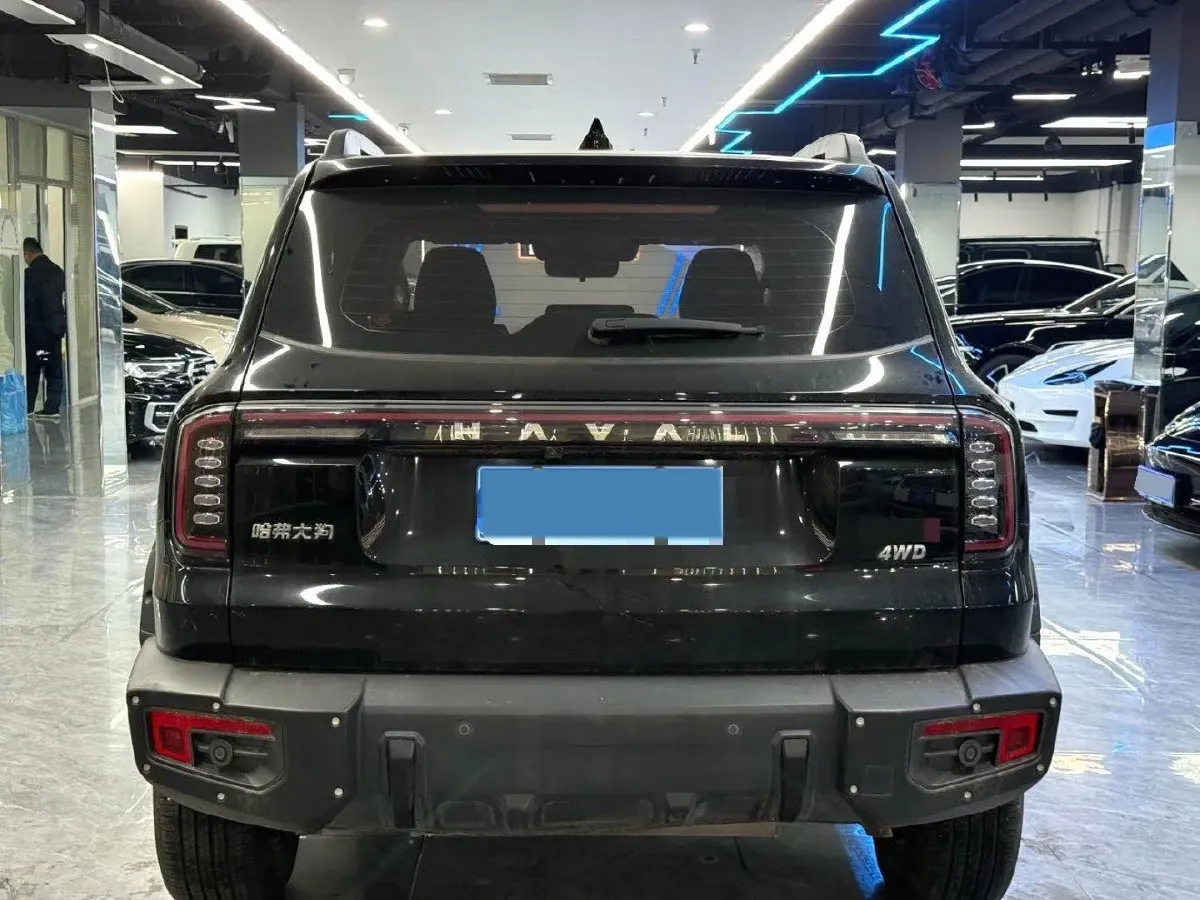 2024 Haval Dargo 2.0T 238HP L4 9DCT,autocango,china used car exporter,china ev exporter,chinese used car exporter,chinese used ev exporter