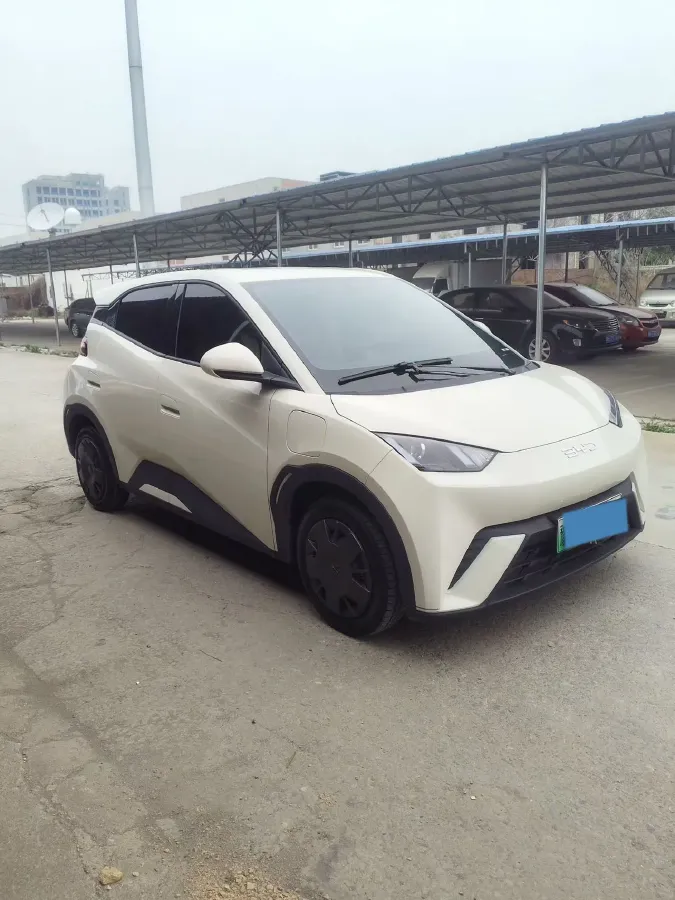 2024 BYD Seagull BEV 30.08KWH,autocango,china used car exporter,china ev exporter,chinese used car exporter,chinese used ev exporter