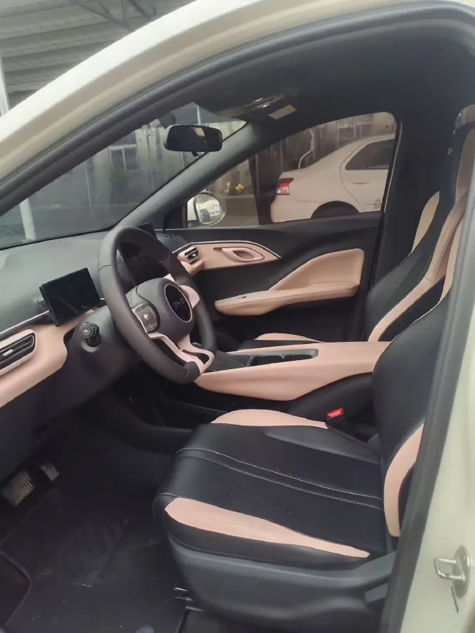 2024 BYD Seagull BEV 30.08KWH,autocango,china used car exporter,china ev exporter,chinese used car exporter,chinese used ev exporter