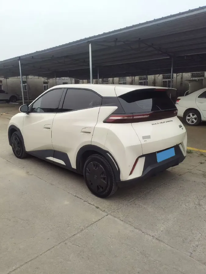 2024 BYD Seagull BEV 30.08KWH,autocango,china used car exporter,china ev exporter,chinese used car exporter,chinese used ev exporter