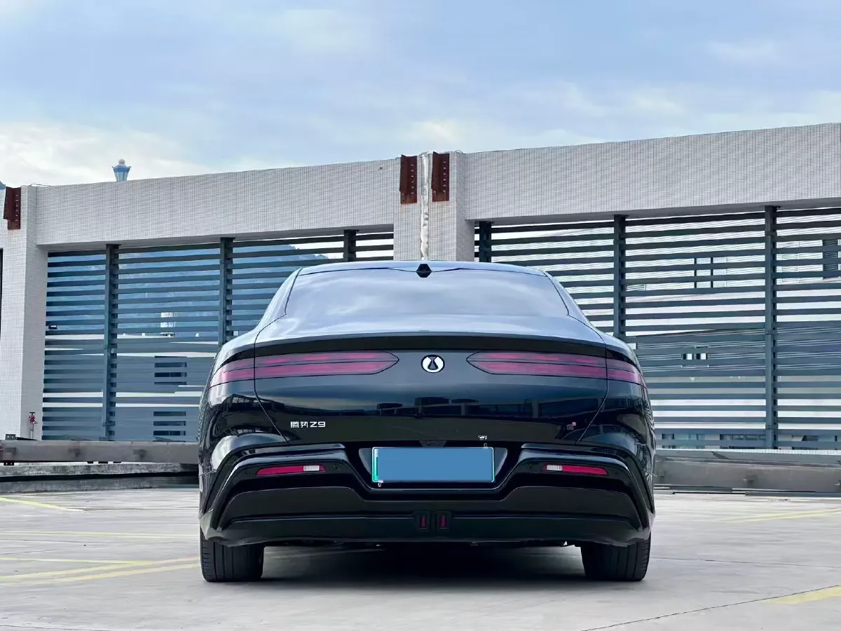2024 Denza DenzaZ9 2.0T 207HP L4 E-CVT PHEV 38.5KWH,autocango,china used car exporter,china ev exporter,chinese used car exporter,chinese used ev exporter