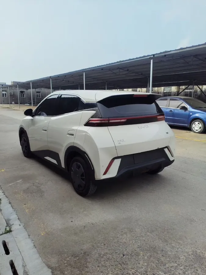 2025 BYD Seagull BEV 30.08KWH,autocango,china used car exporter,china ev exporter,chinese used car exporter,chinese used ev exporter