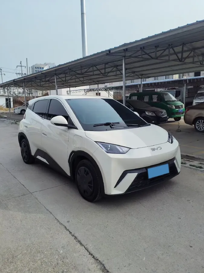 2025 BYD Seagull BEV 30.08KWH,autocango,china used car exporter,china ev exporter,chinese used car exporter,chinese used ev exporter