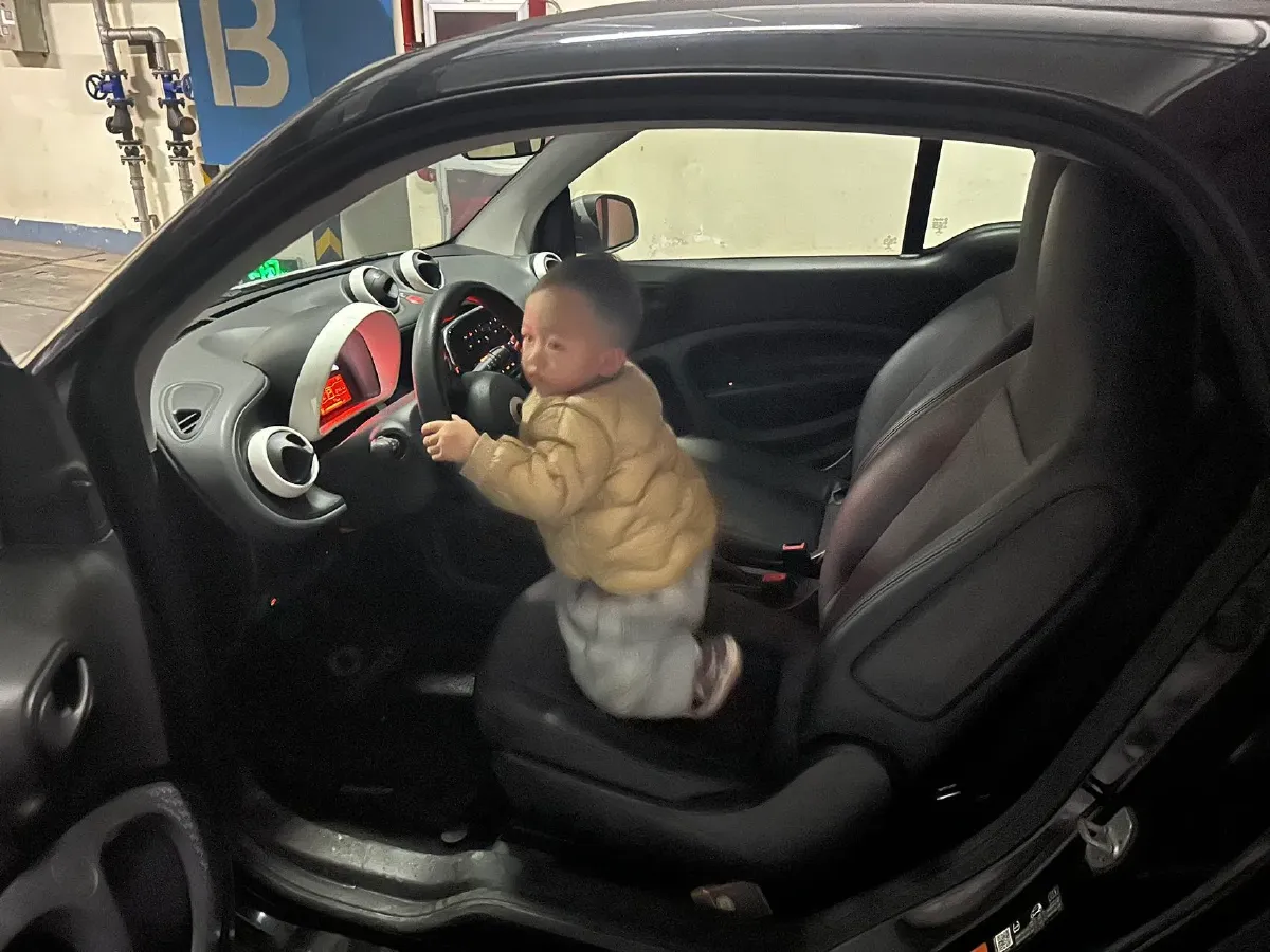 2017 Smart smart fortwo 1.0L 71HP L3 6DCT,autocango,china used car exporter,china ev exporter,chinese used car exporter,chinese used ev exporter