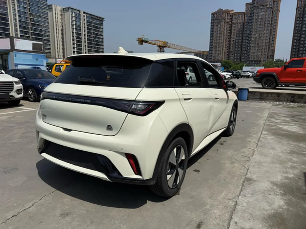 2023 BYD Dolphin BEV 44.928KWH,autocango,china used car exporter,china ev exporter,chinese used car exporter,chinese used ev exporter