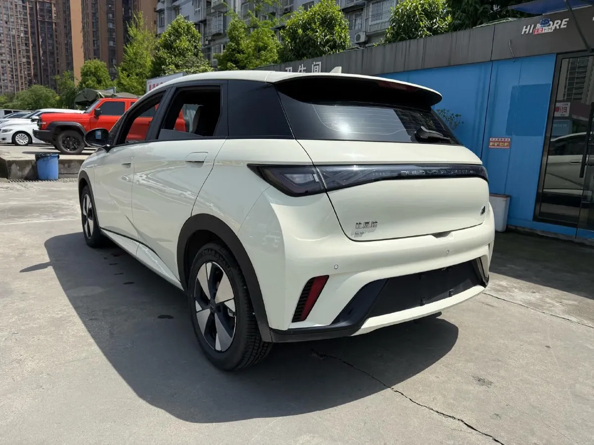 2023 BYD Dolphin BEV 44.928KWH,autocango,china used car exporter,china ev exporter,chinese used car exporter,chinese used ev exporter