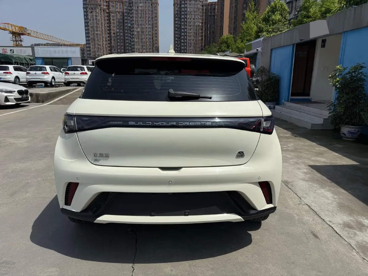 2023 BYD Dolphin BEV 44.928KWH,autocango,china used car exporter,china ev exporter,chinese used car exporter,chinese used ev exporter