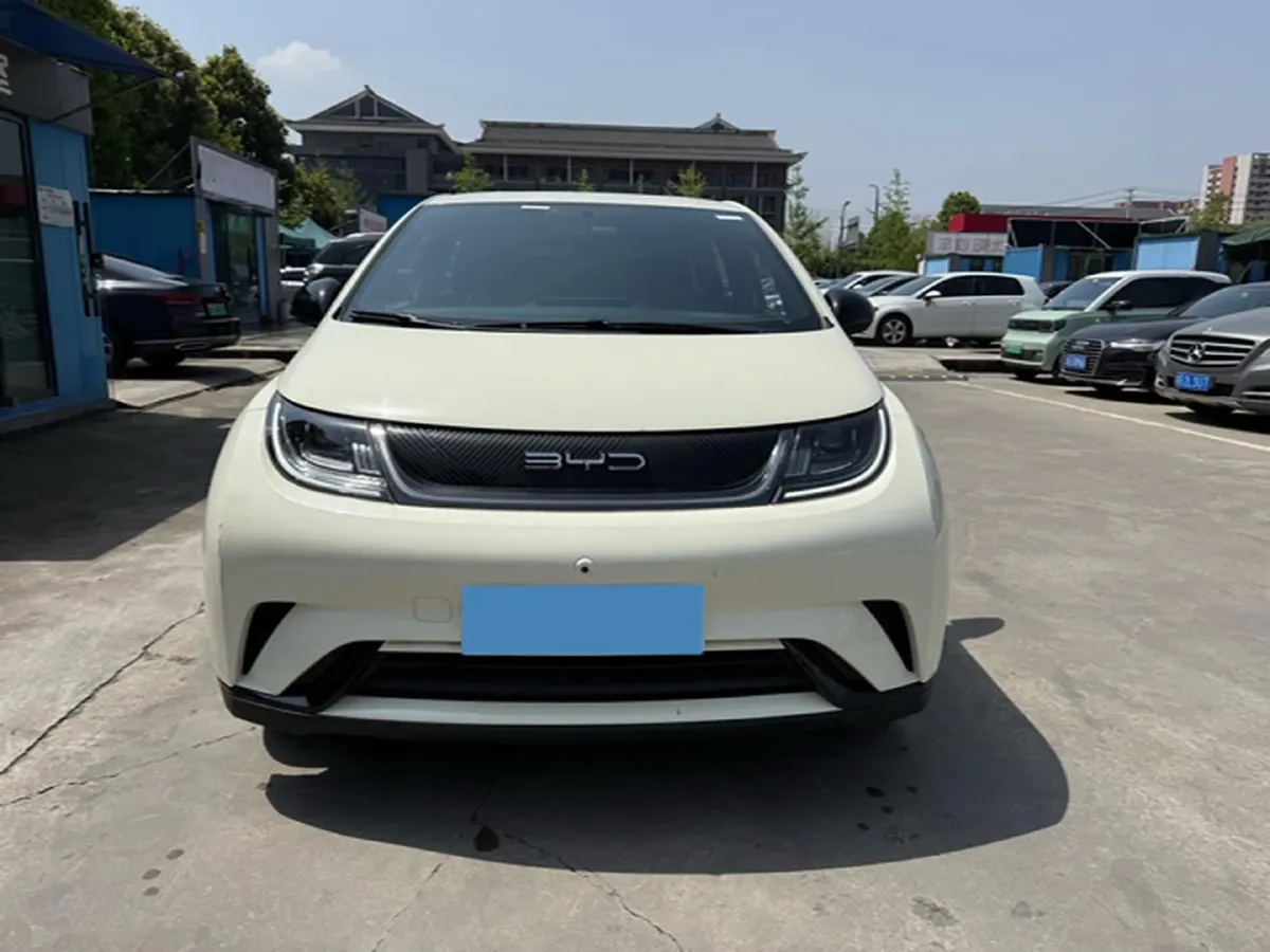2023 BYD Dolphin BEV 44.928KWH,autocango,china used car exporter,china ev exporter,chinese used car exporter,chinese used ev exporter